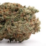 AK 47