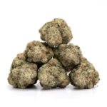 Acapulco Gold - Image 2