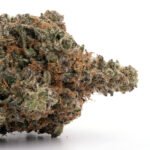 Alien OG
