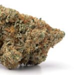 Amnesia Haze