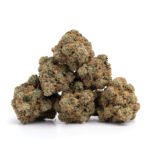 Animal Cookies - Image 2