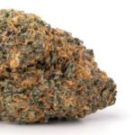 God Bud