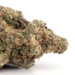 Bananaconda