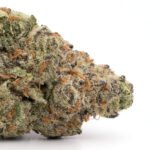 Berry Pie