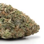 Birthday Cake Kush