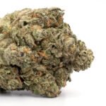 Black Cherry OG