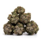 Black Mamba - Image 2