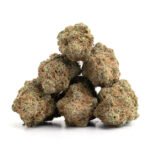 Blue Afghani - Image 2