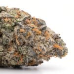 Blueberry Cheesecake