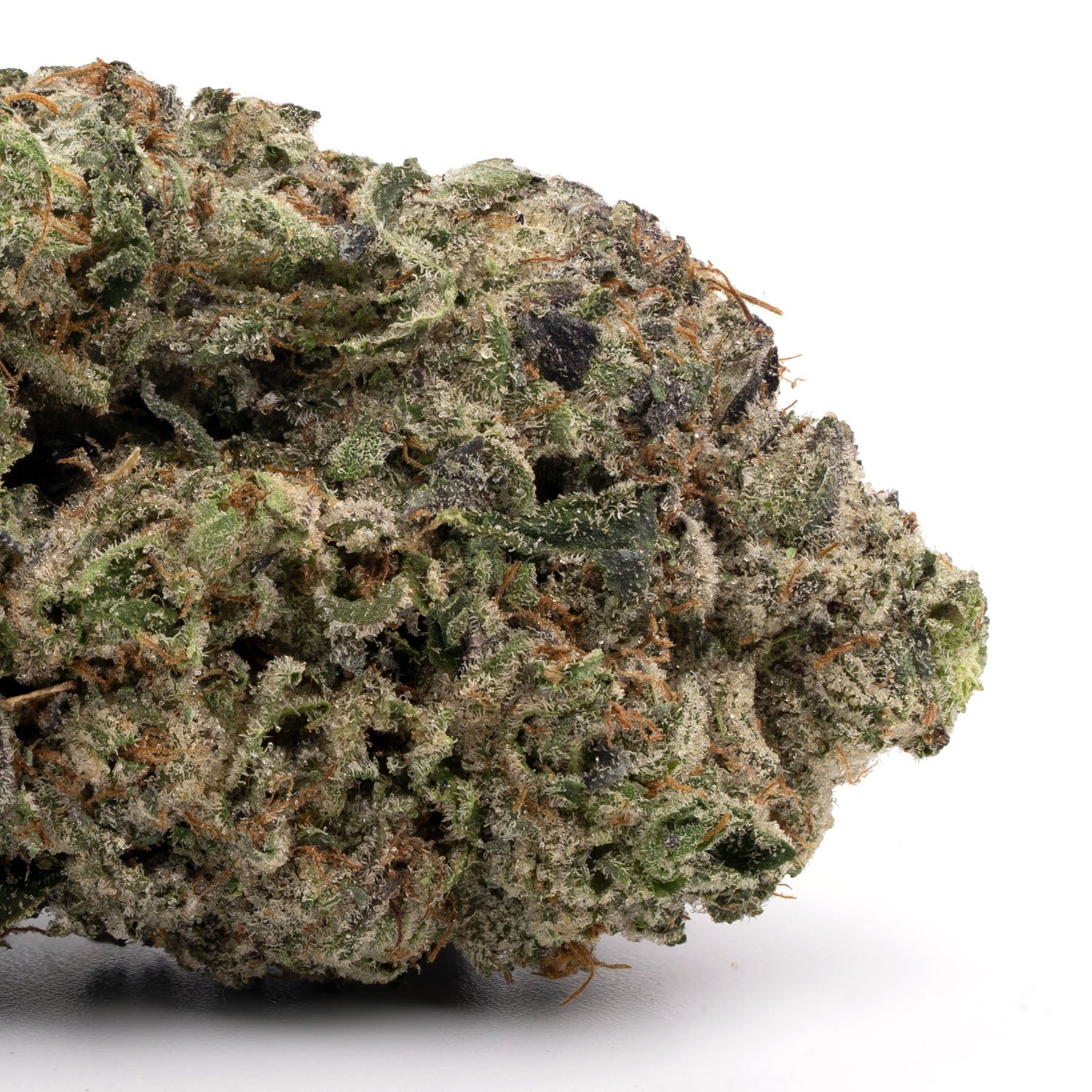 Blueberry-Diesel-1.jpg Blueberry Diesel - Image 1