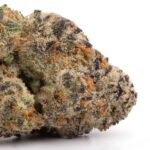 Blueberry Muffin