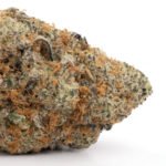 Blueberry Yum Yum