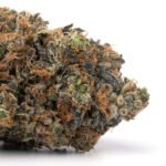 Bruce Banner
