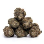 Bruce Banner - Image 2