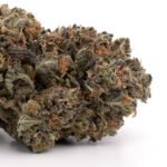Bubba Kush