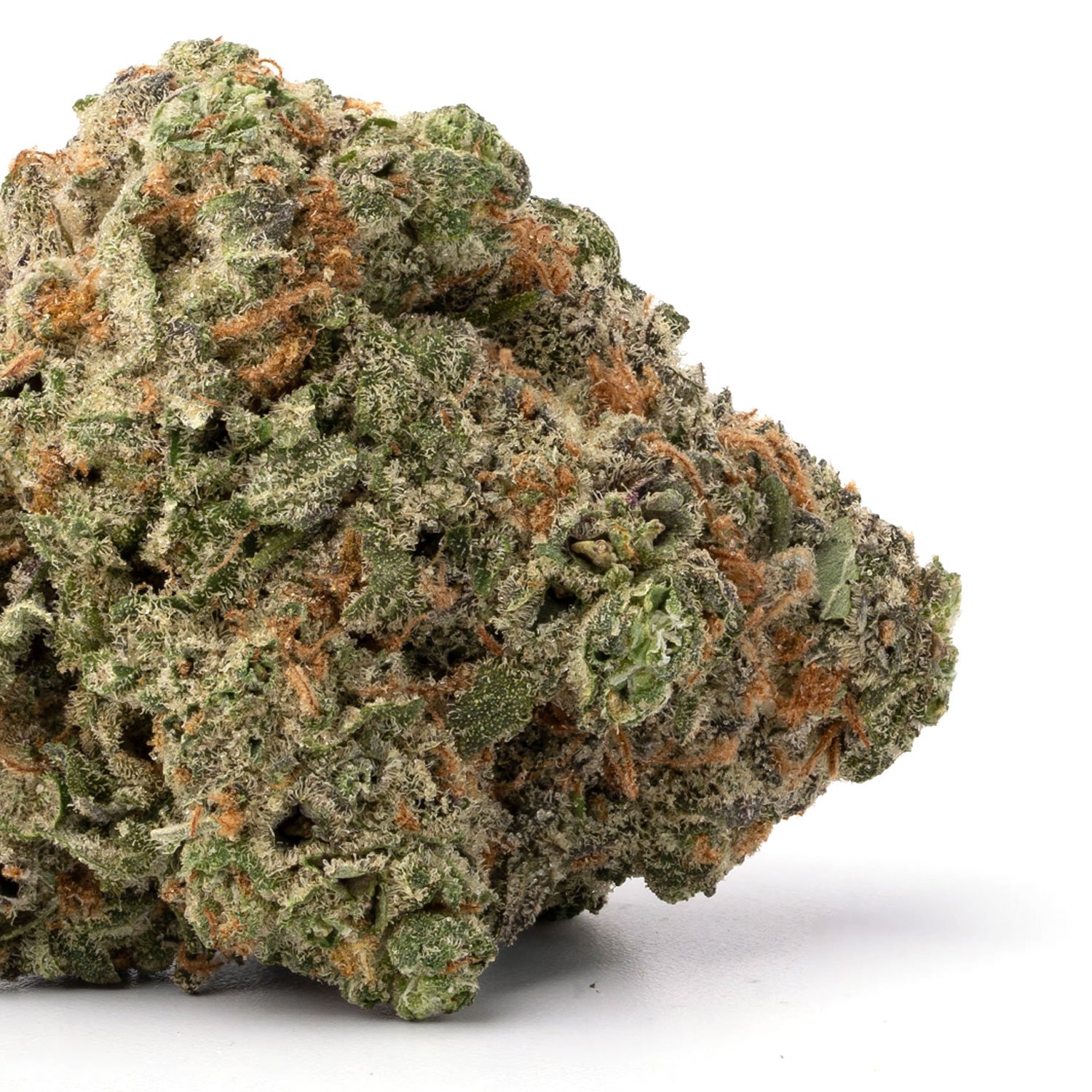 Bubba-Rockstar-1.jpg Bubba Rockstar - Image 1