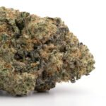 Bubblegum Breath