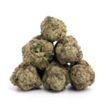 Bubblegum Breath - Image 2