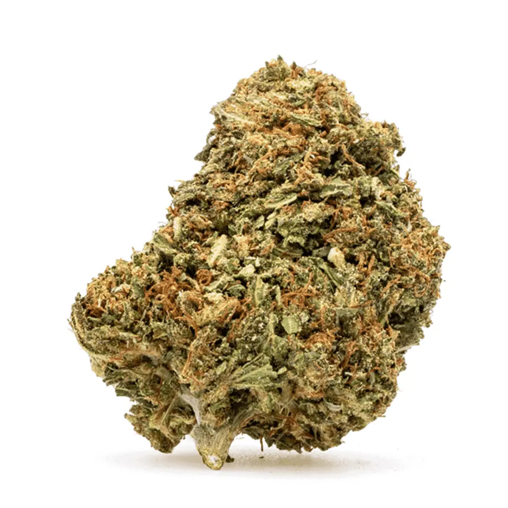 CBD-Flower-Bubba-Kush-nug.webp CBD Flower Bubba Kush - Image 1