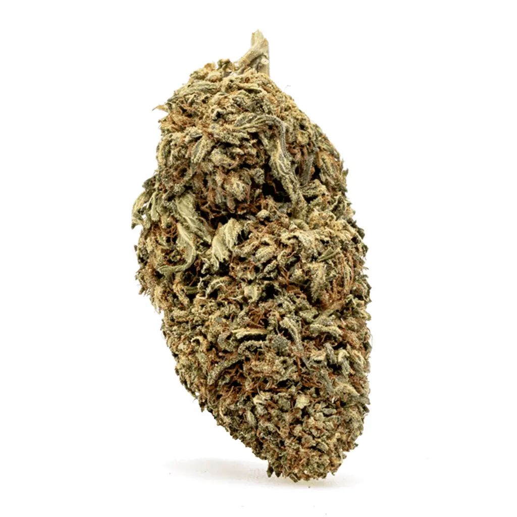 CBD-Flower-Lemon-Octane-nug.webp CBD Flower Lemon Octane - Image 1