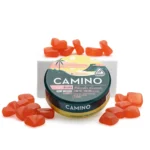 Camino Delta 9 THC Bliss Gummies - Watermelon Lemonade
