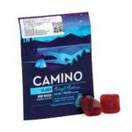 Camino Delta 9 THC and CBN Sleep Gummies 2 ct - Midnight Blueberry