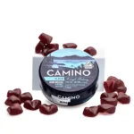 Camino Delta 9 THC and CBN Sleep Gummies - Midnight Blueberry