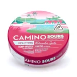 Camino Sours Delta 9 THC Uplifting Gummies - Watermelon Spritz - Image 2