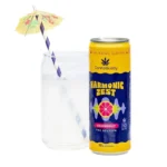 CannaBuddy Delta 9 THC Seltzer - Variety - Image 5