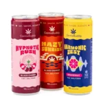 CannaBuddy Delta 9 THC Seltzer - Variety