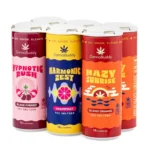 CannaBuddy Delta 9 THC Seltzer - Variety - Image 2