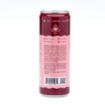 CannaBuddy Delta 9 THC Seltzer - Hypnotic Rush - Image 5