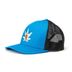 CannaBuddy Trucker Hat - Aqua and Black - Image 2