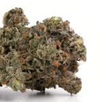Chocolate Kush