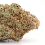 Cookie Stomper