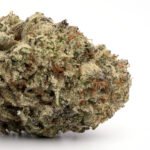 Cookies & Cream