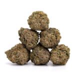 Critical Kush - Image 2