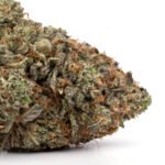 Critical Mass