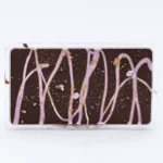 DeVINE Naturals Delta 8 and Delta 9 THC Cannabis Confections Chocolate Bar - Purple Haze - Image 4