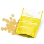 Erth Wellness Delta 9 THC Gummies - Pineapple Express