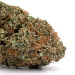 Forbidden Fruit