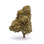CBD Flower - Frosted Lime