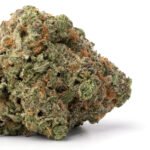 G13 Haze