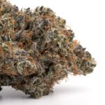 GMO Cookies