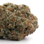 Gelato