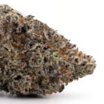 Gelato 33