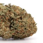 Ghost OG