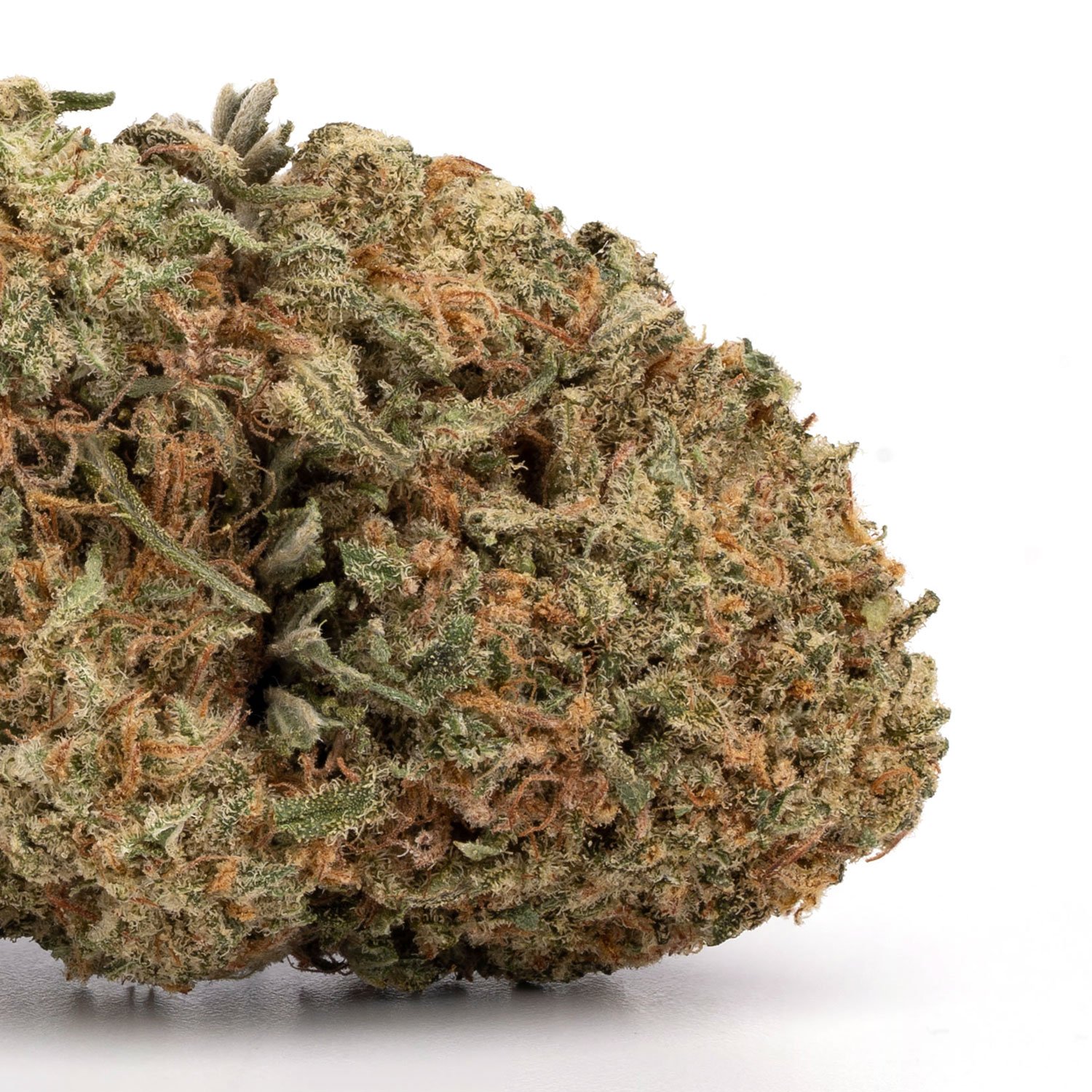 Ghost-OG-1.jpg Ghost OG - Image 1