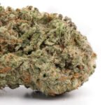Girl Scout Cookies