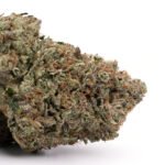Godfather OG